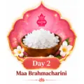 Day 2