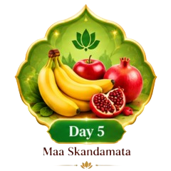 Day 5