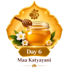 Day 6