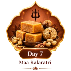 Day 7